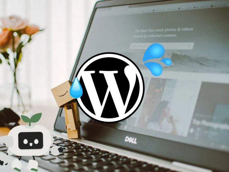 Quel format d’image choisir pour le web en 2025 ? Nos tests et recommandations