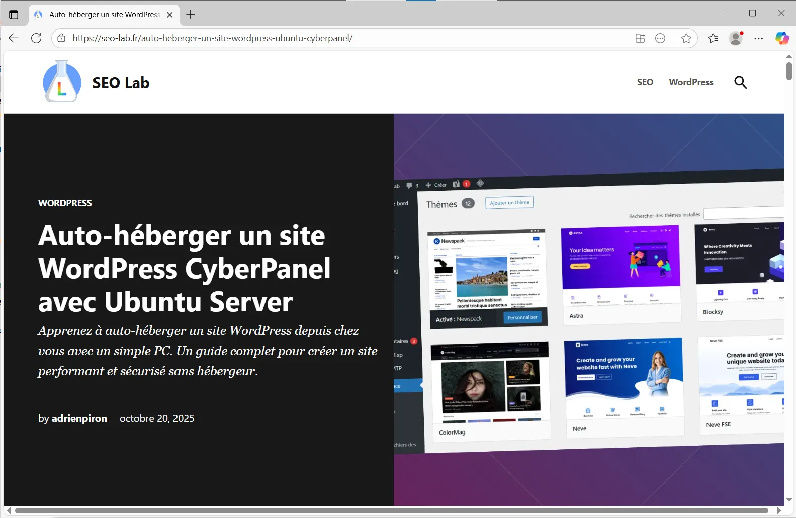 theme newspack sur seo-labs.fr